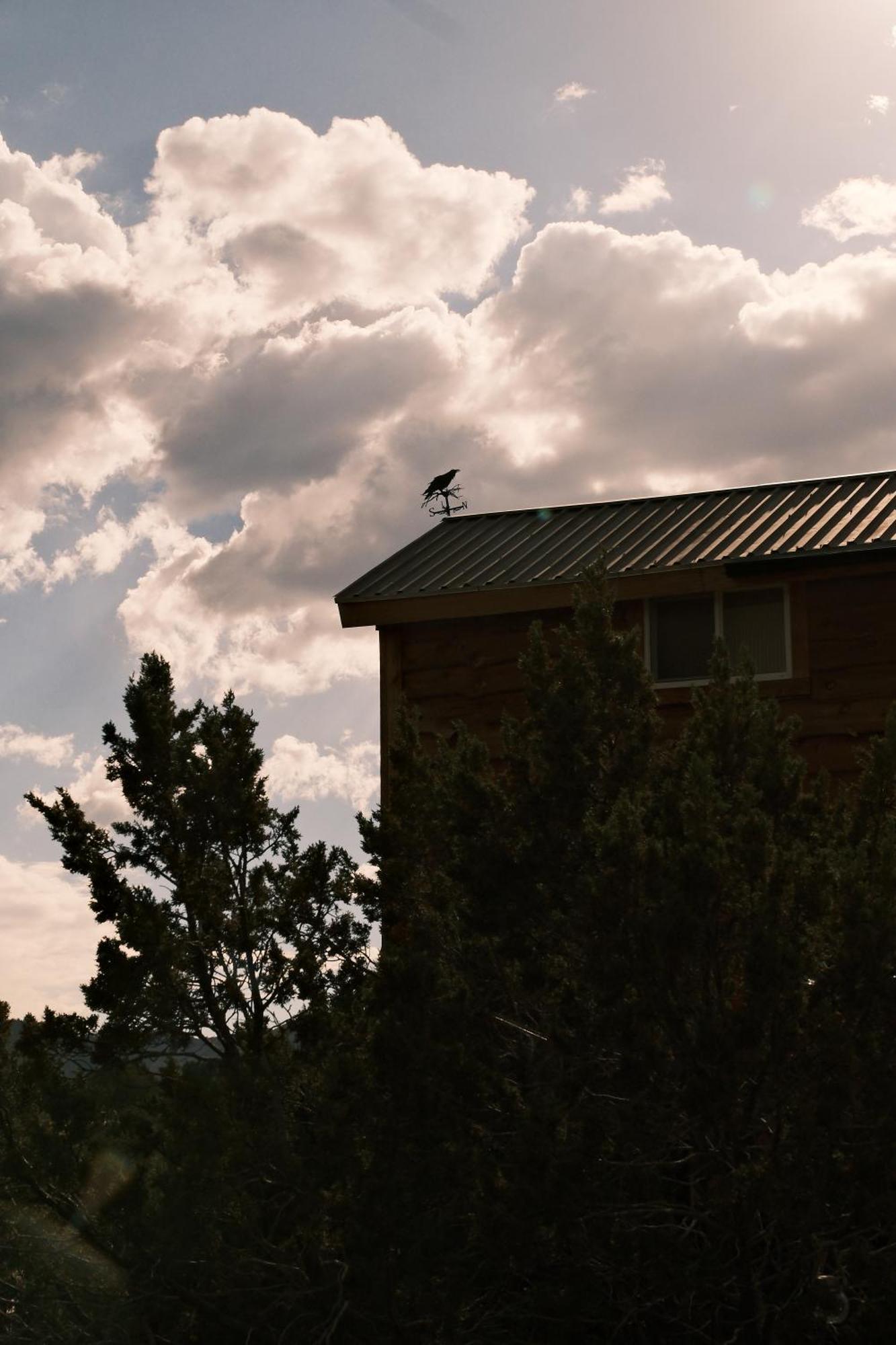 Crows Nest Treehouse At El Mstico Ranch Villa Nogal Exterior foto